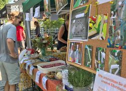 Wenigenjena Sommerfest 2019 0018